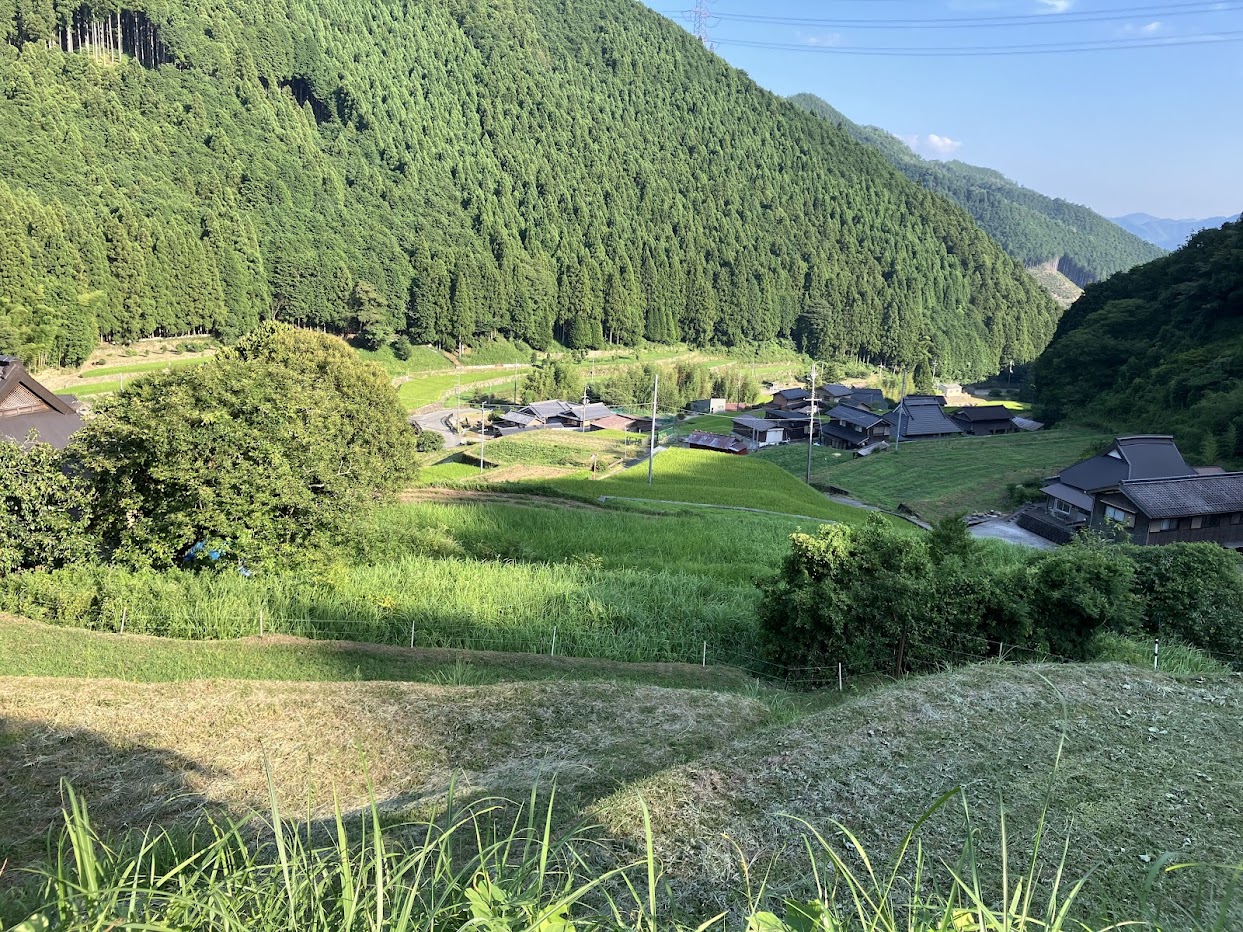 棚田の里、岩座神（いさりがみ）の初夏