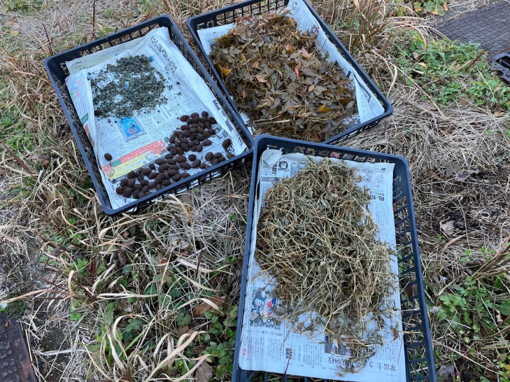 草木染めの材料