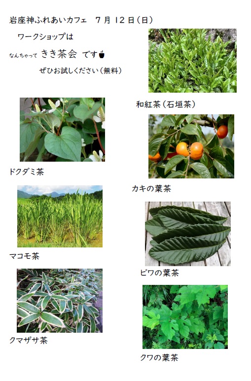 きき茶会7月